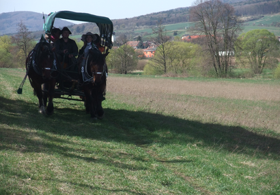 Den památek (2011)